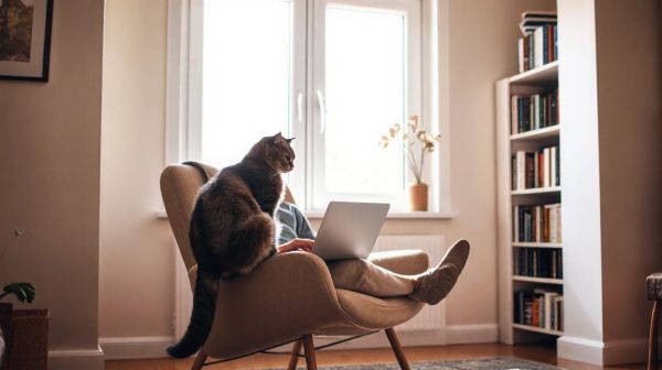 Les avantages d'adopter un chat gratuit et anonyme